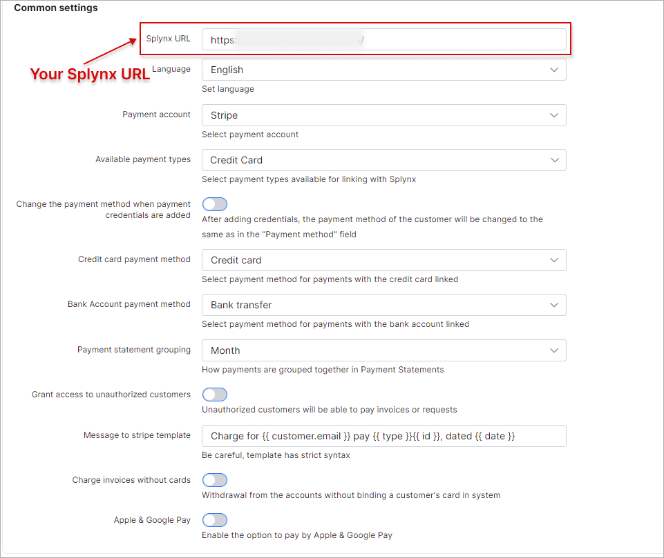 Stripe main settings